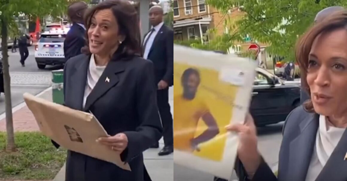 Vice-presidente dos EUA, Kamala Harris mostra LPs comprados em loja ...